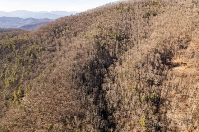 a view of a dry yard with mountains in the background
