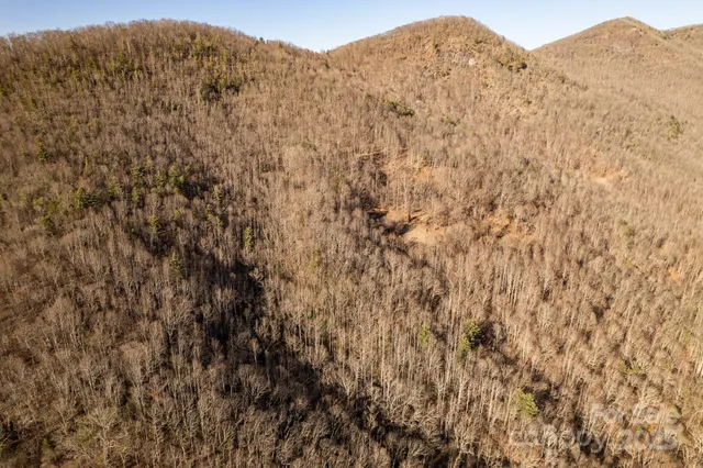 a view of a large mountain range with trees in the background