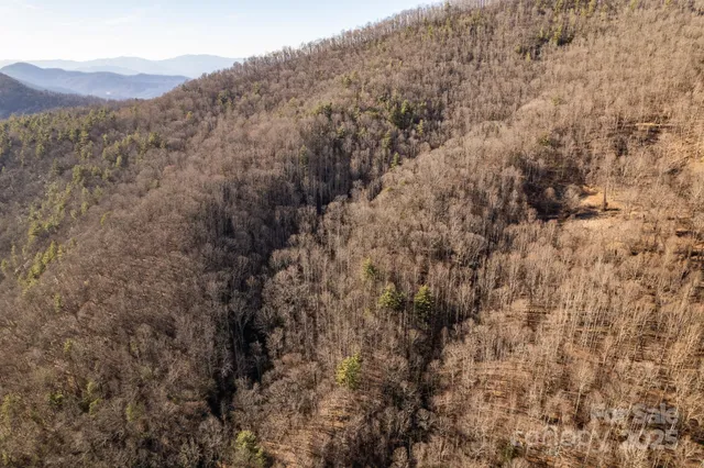 a view of a dry yard