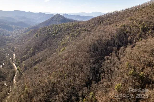 a view of a mountain range in a field