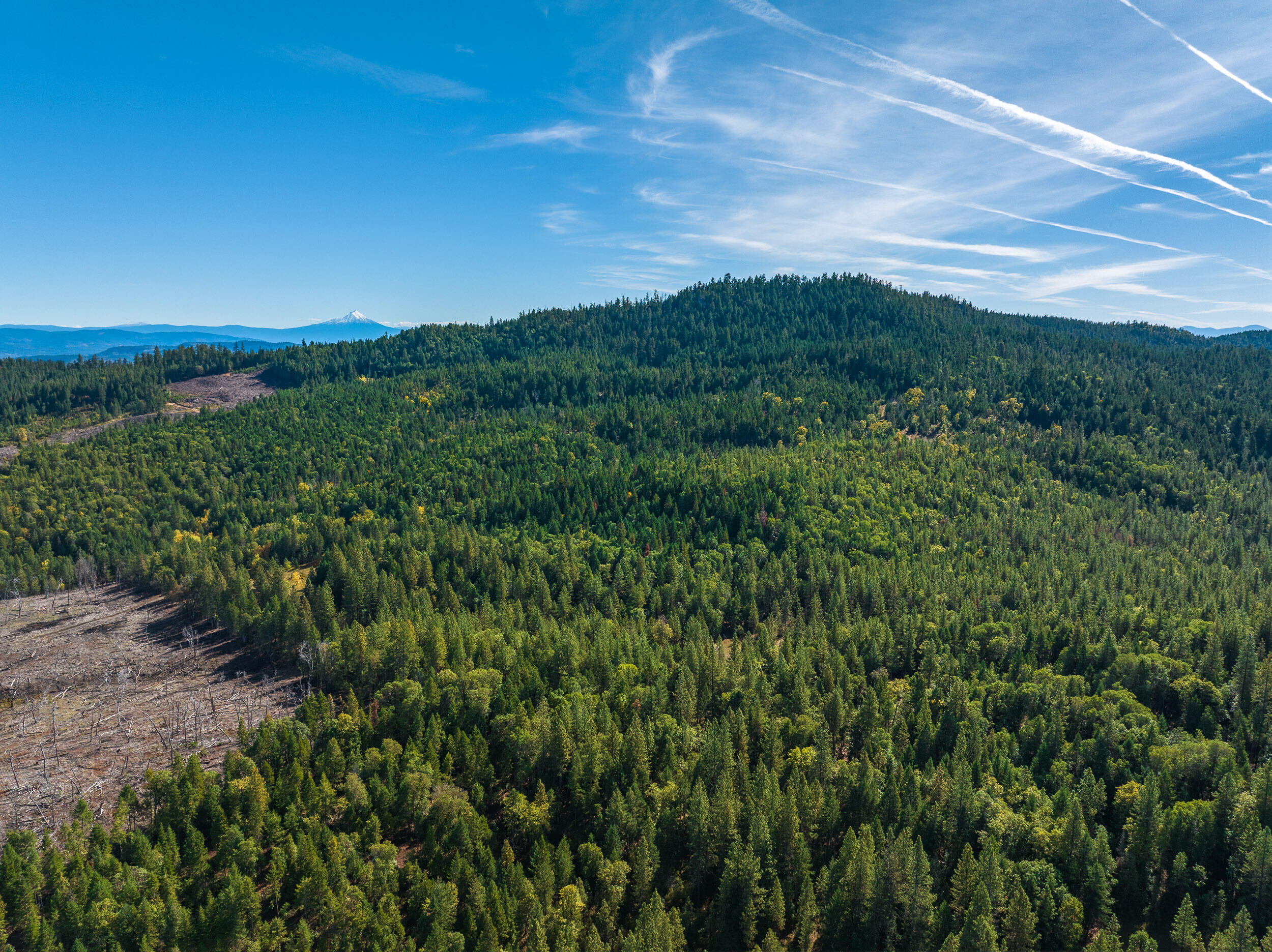 0 Long Branch Spur Road Eagle Point, OR 97524 - Photo 8 of 35 8