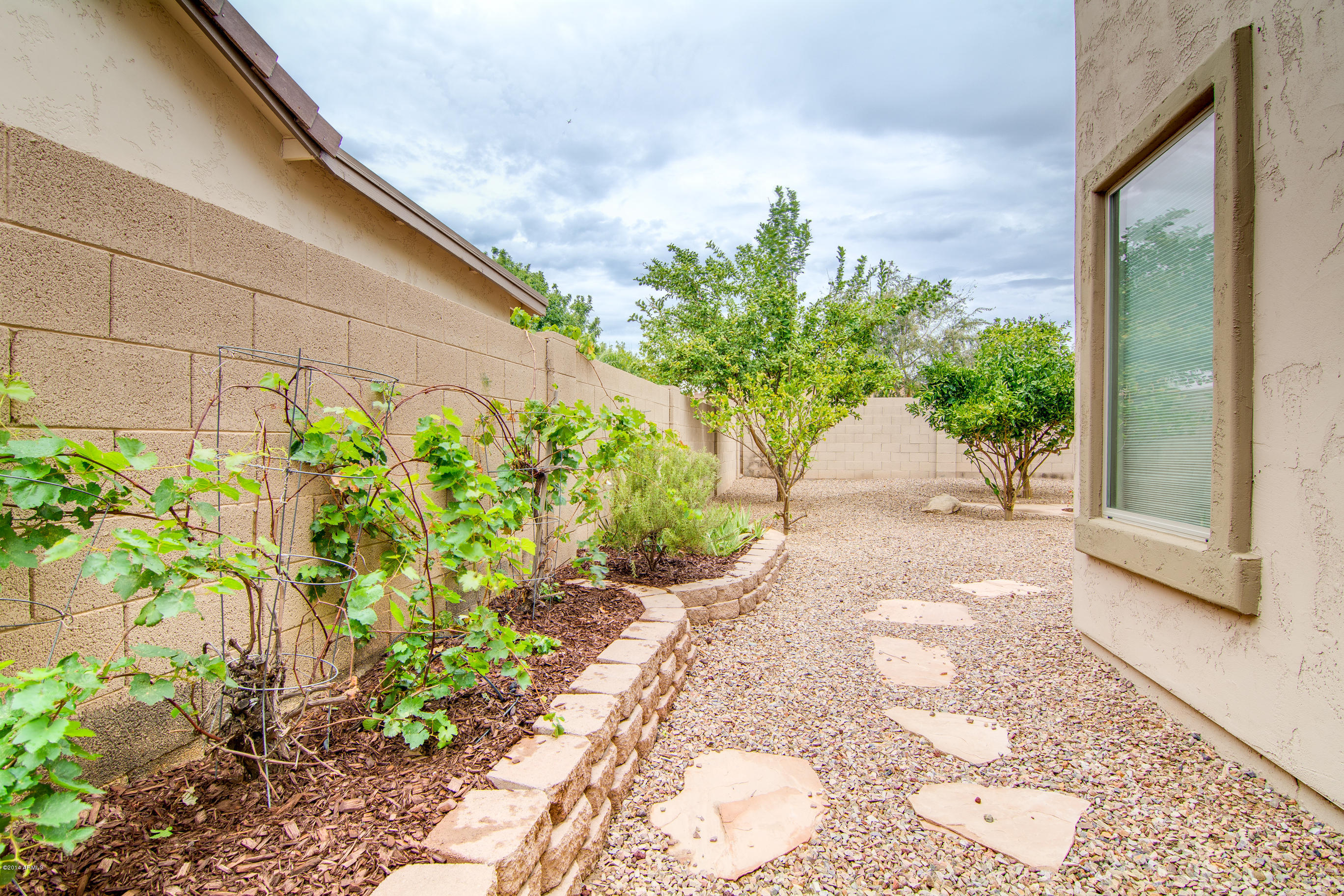 4630 East Ruffian Road Gilbert, AZ 85297 - Photo 24 of 31 The Beginning Of Your Vineyard