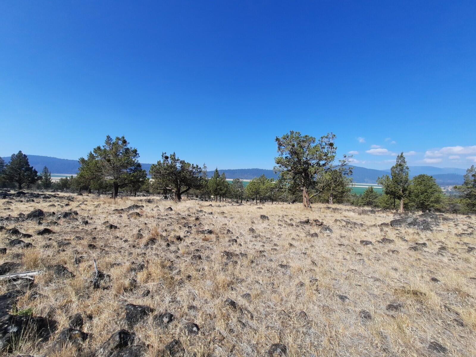 Lot 797 Cooper's Hawk Road Klamath Falls, OR 97601 - Photo 9 of 9 20210808_100811