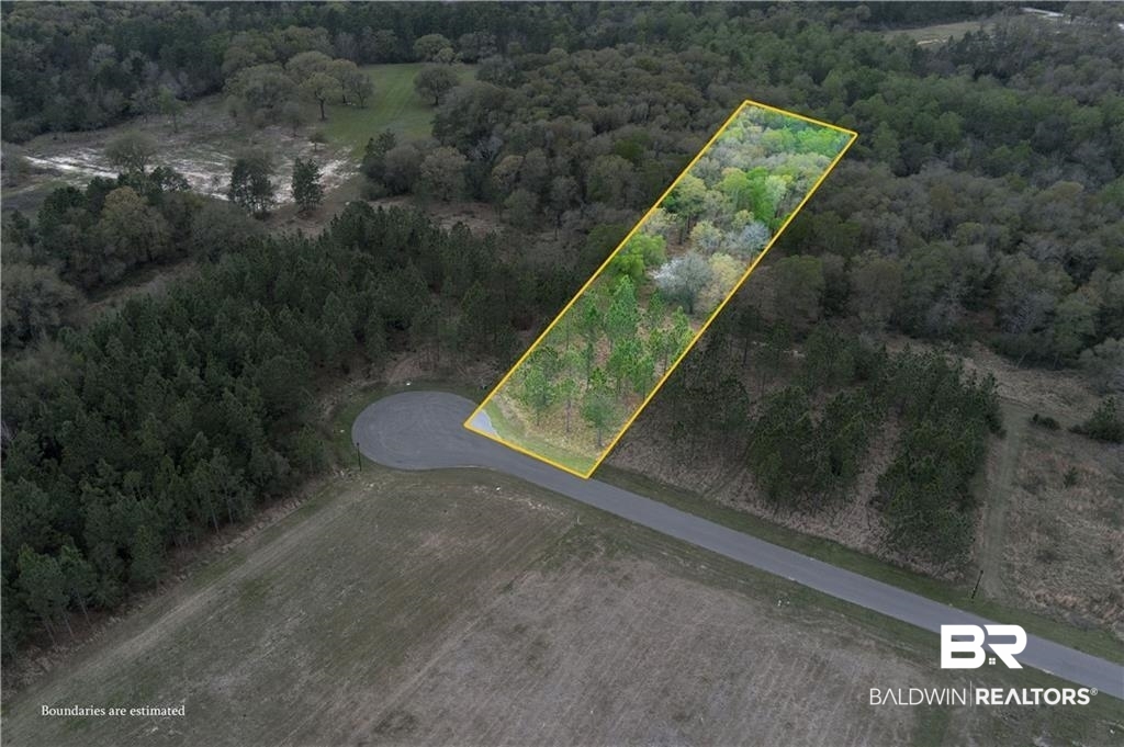 Aerial view of property and surrounding area with a forest and property boundaries highlighted