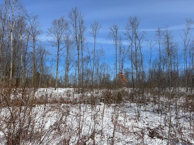 9 East 9 Mile Road Lakeview, MI 48850 - Photo 14 of 16