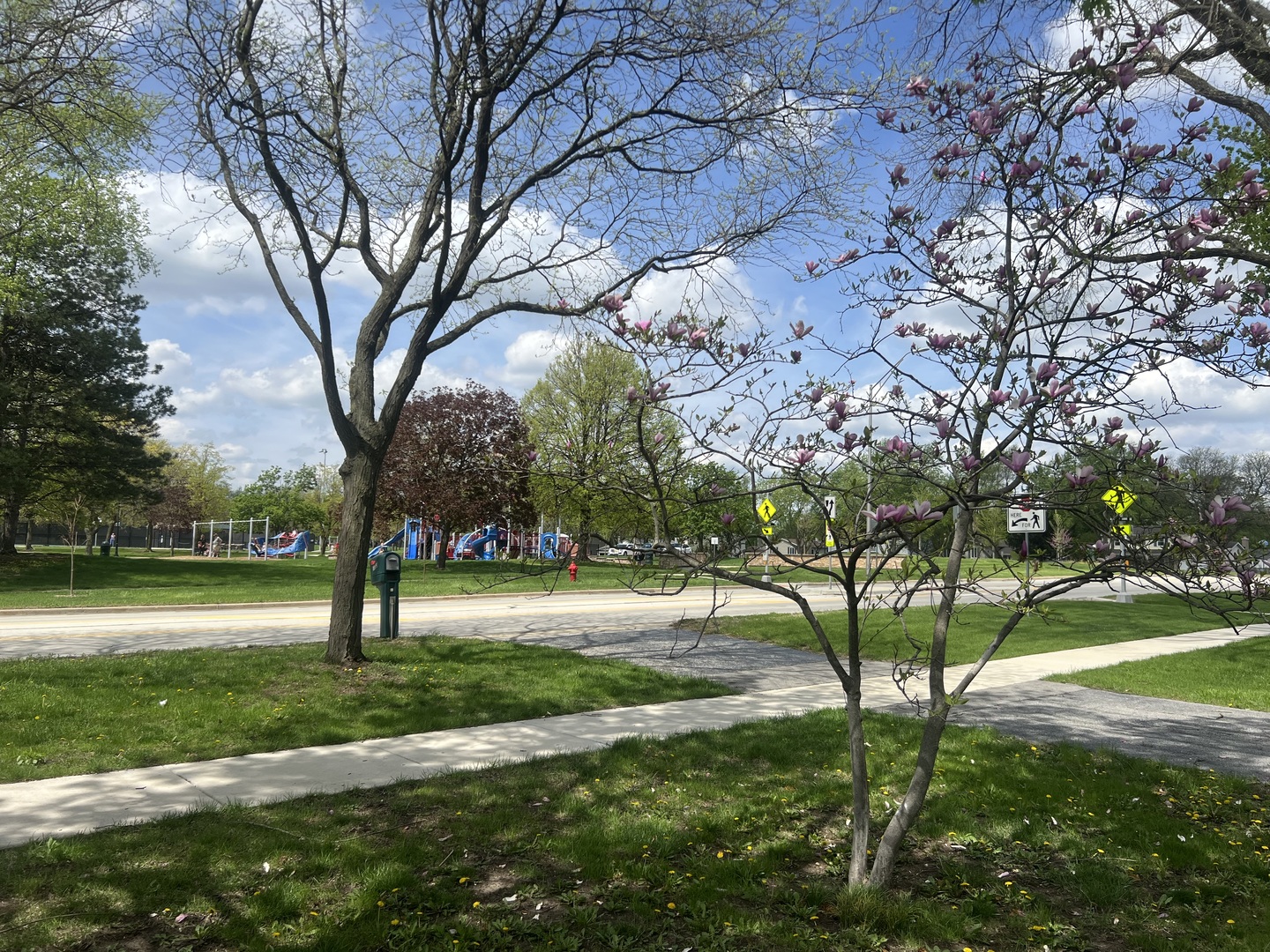 7113 Clarendon Hills Road Darien, IL 60561 - Photo 36 of 36