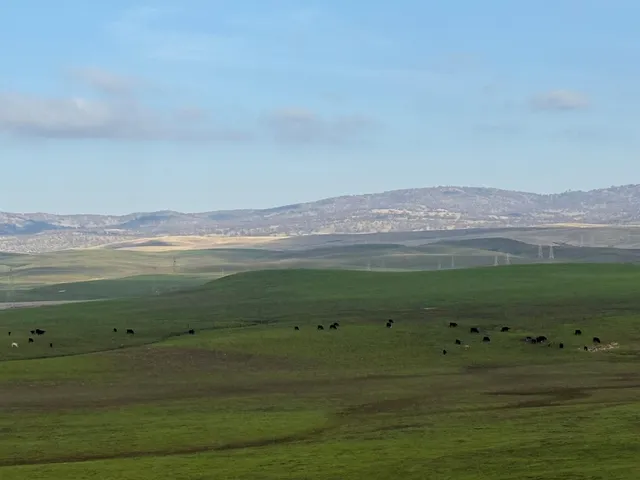 a view of a room with a lot of trees