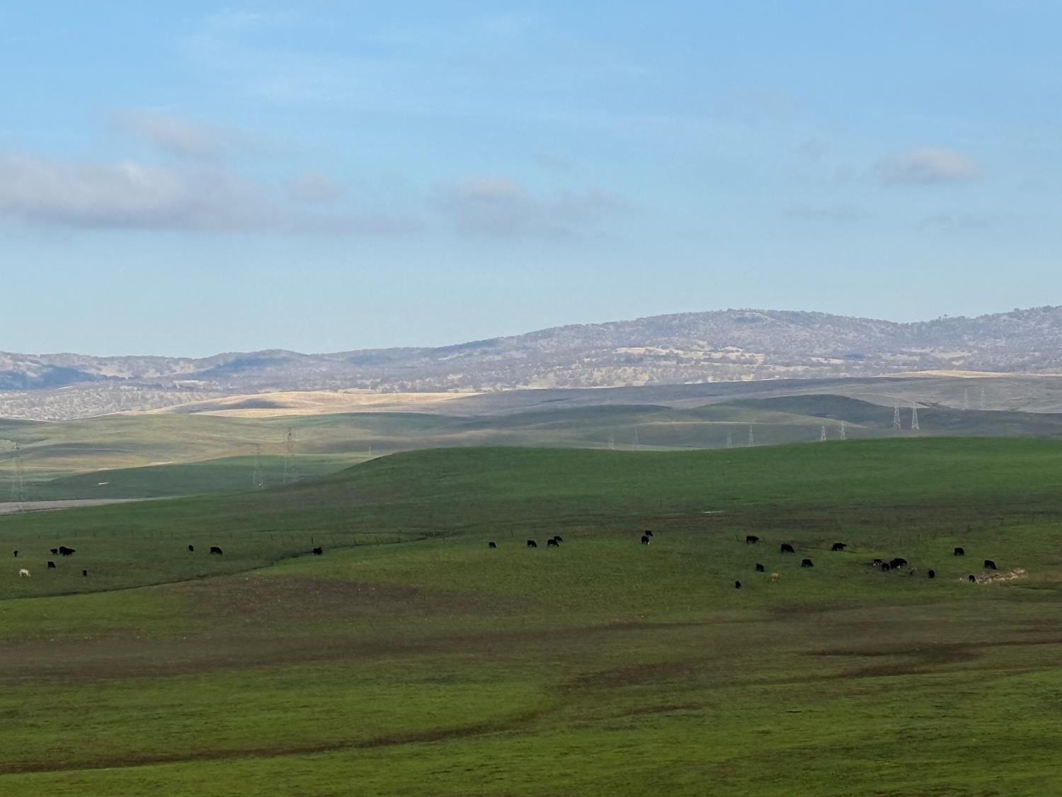 0 Dunton S Of Road Oakdale, CA 95361 - Photo 12 of 20 a view of a room with a lot of trees