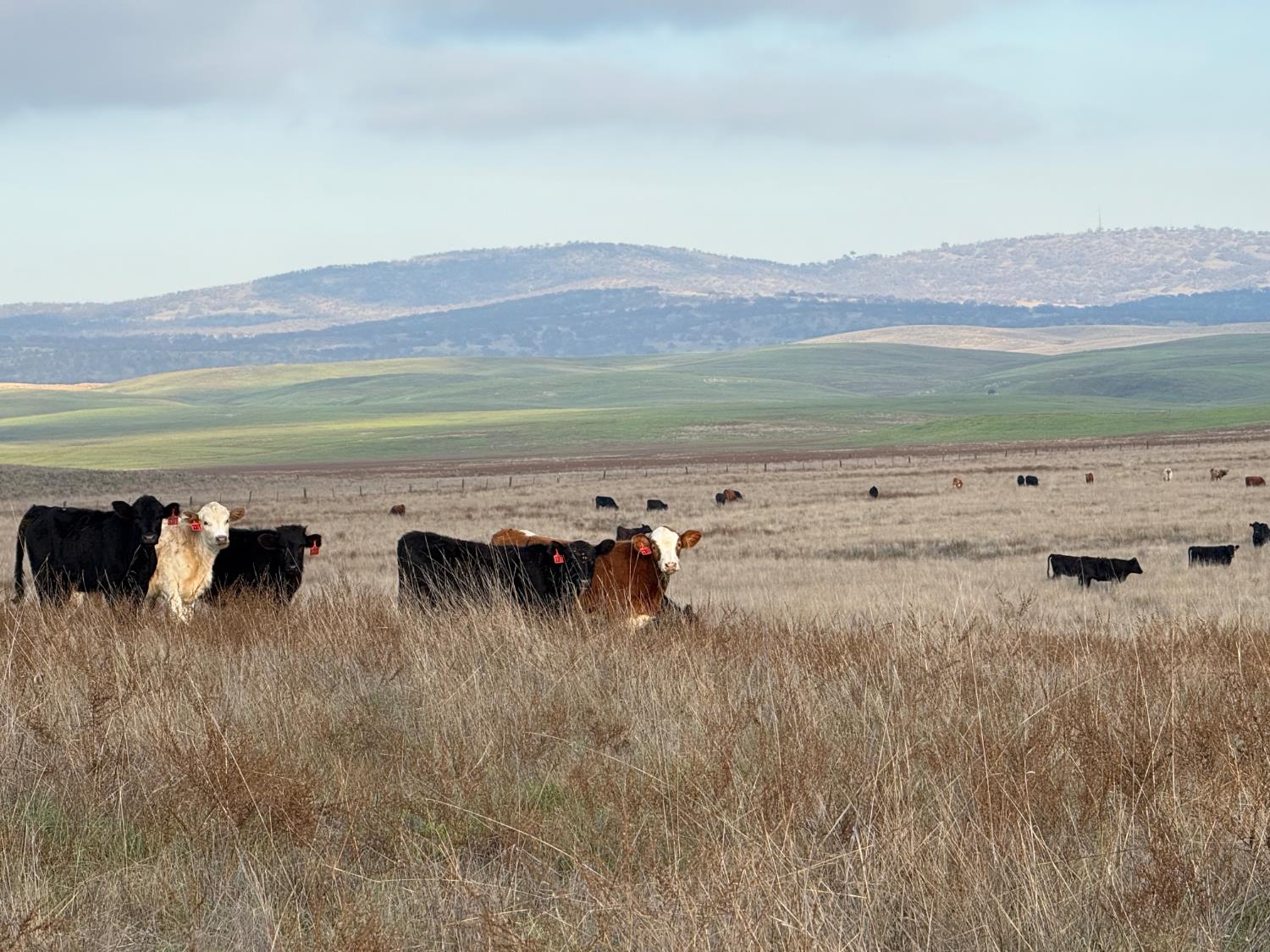 0 Dunton S Of Road Oakdale, CA 95361 - Photo 15 of 20 a view of a mountain with lake view