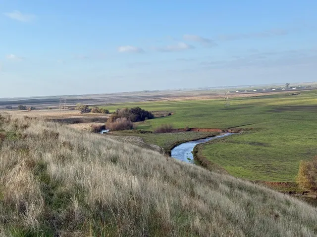 a view of a field with an ocean view