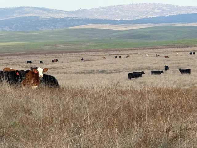 a view of a lake view