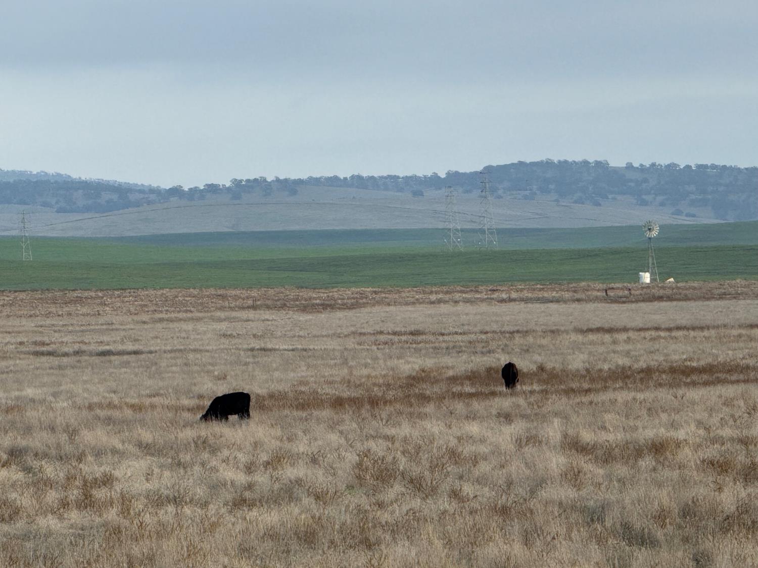0 Dunton S Of Road Oakdale, CA 95361 - Photo 19 of 20 a view of a lake view