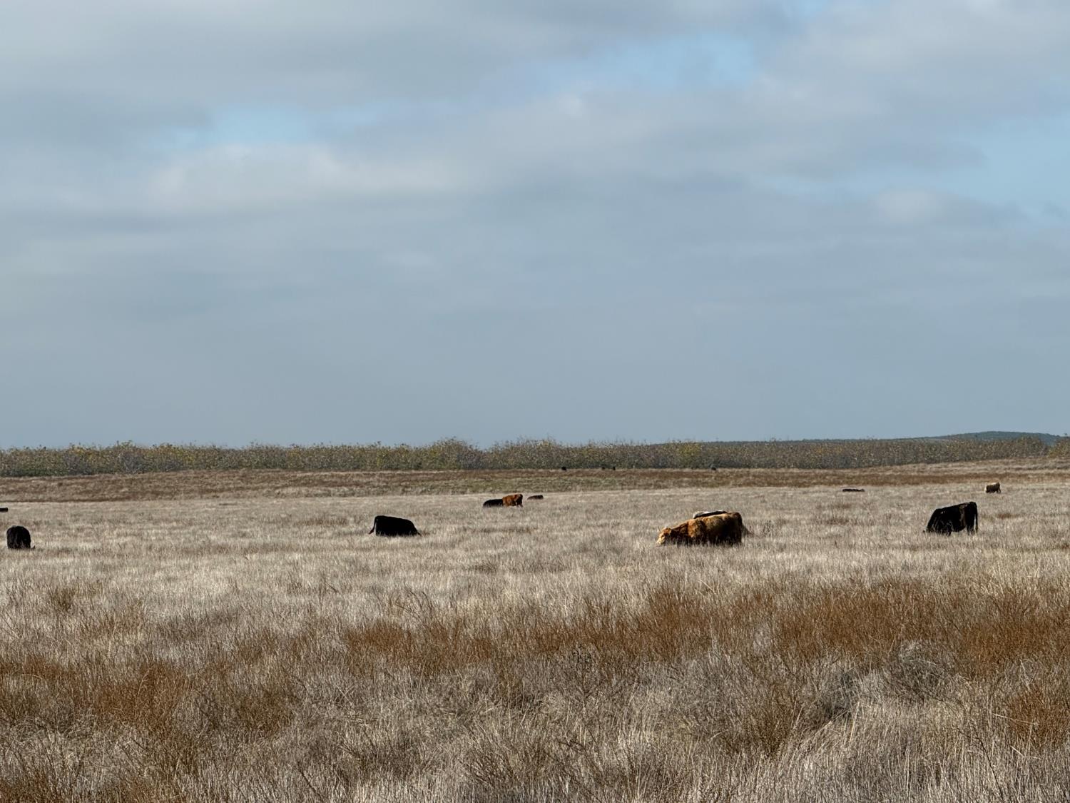 0 Dunton S Of Road Oakdale, CA 95361 - Photo 3 of 20 a view of a room with an ocean view