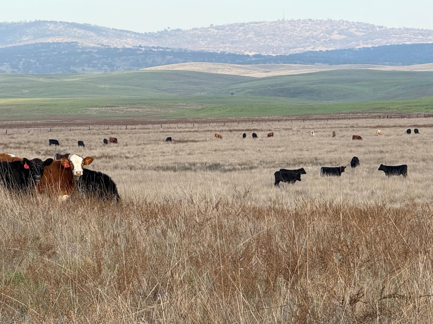 0 Dunton S Of Road Oakdale, CA 95361 - Photo 5 of 20 a view of an ocean with a mountain