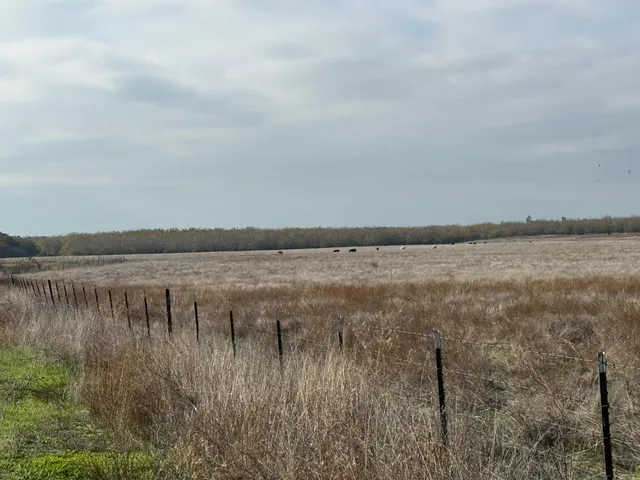 a view of a lake view