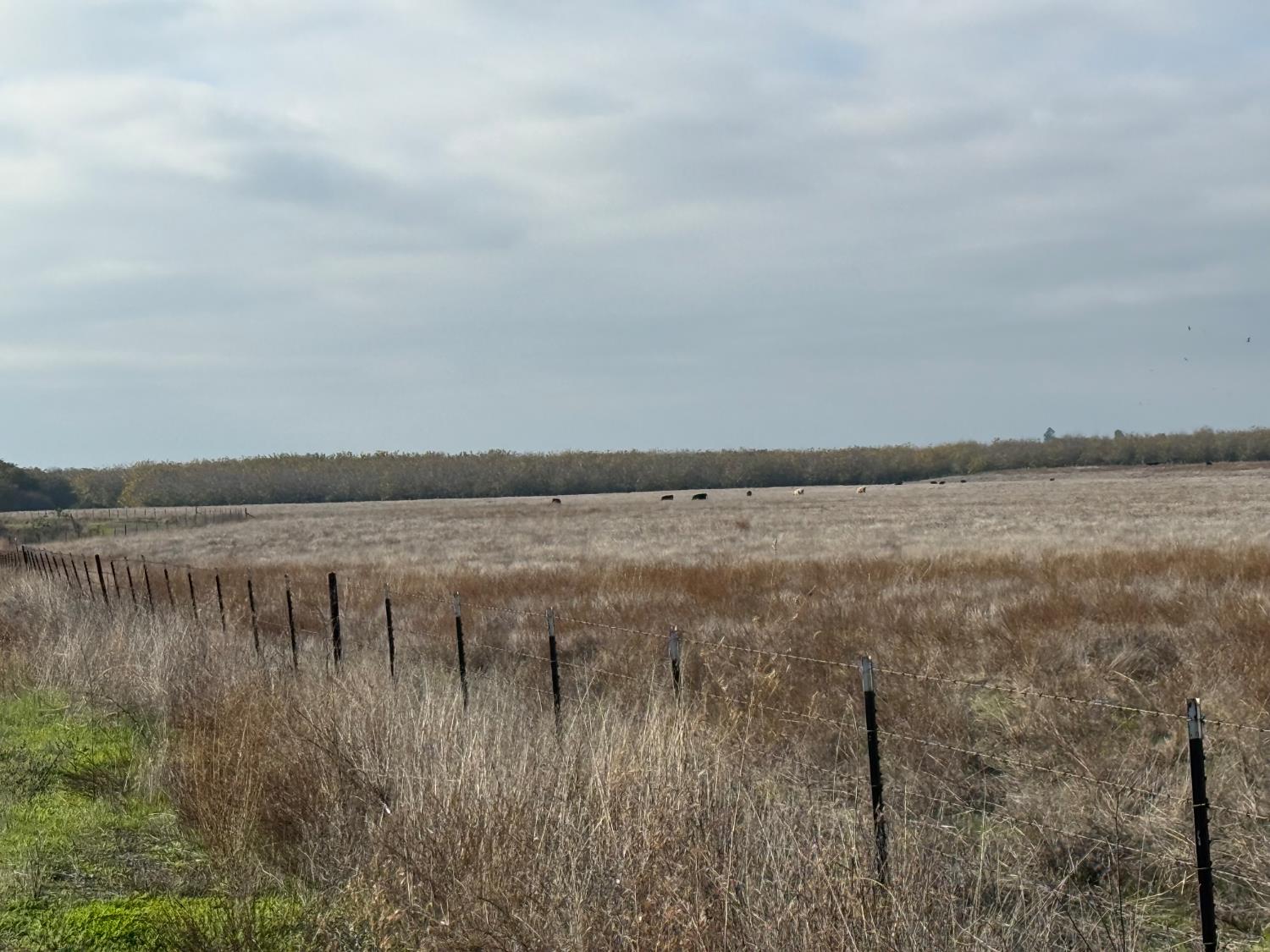 0 Dunton S Of Road Oakdale, CA 95361 - Photo 6 of 20 a view of a lake view