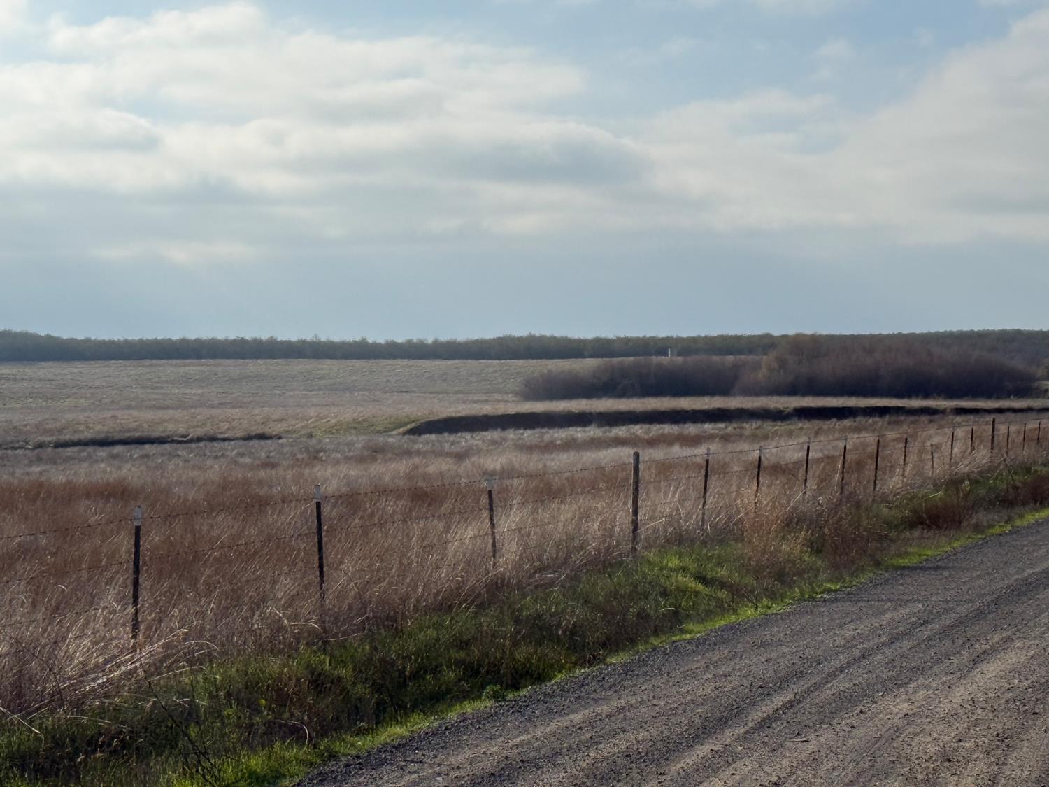 0 Dunton S Of Road Oakdale, CA 95361 - Photo 7 of 20 a view of a yard