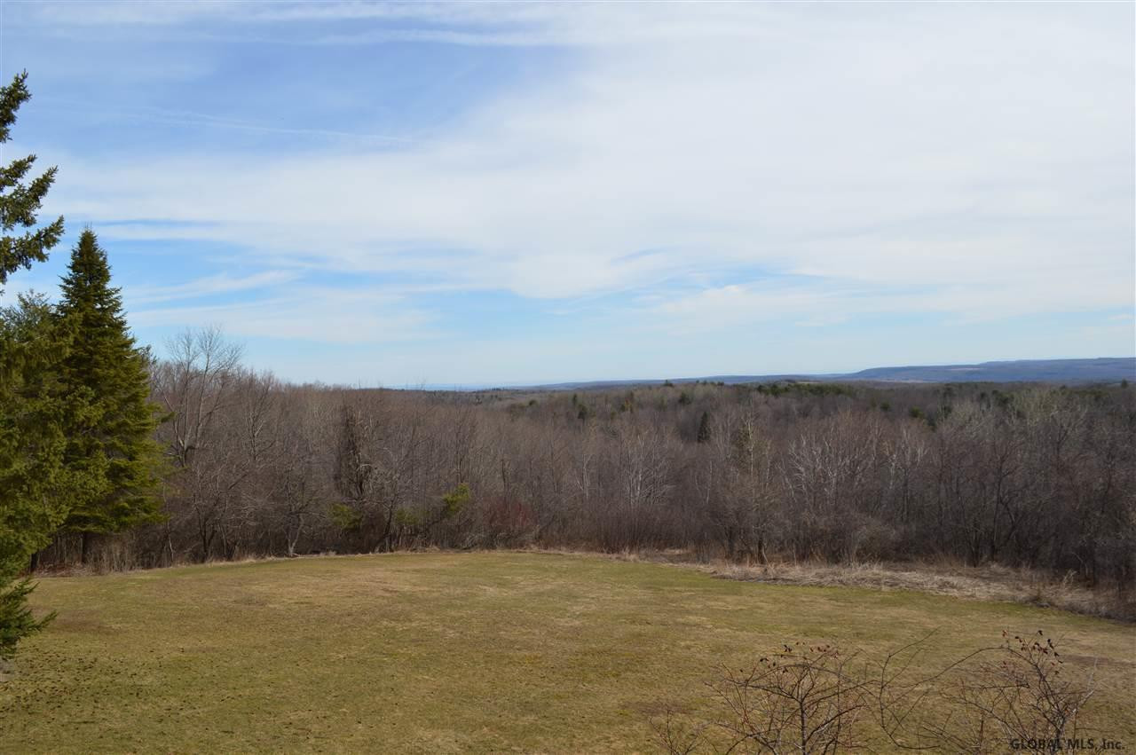 552 Pond Hill Road Rensselaerville, NY 12147 - Photo 2 of 25 Photo 2