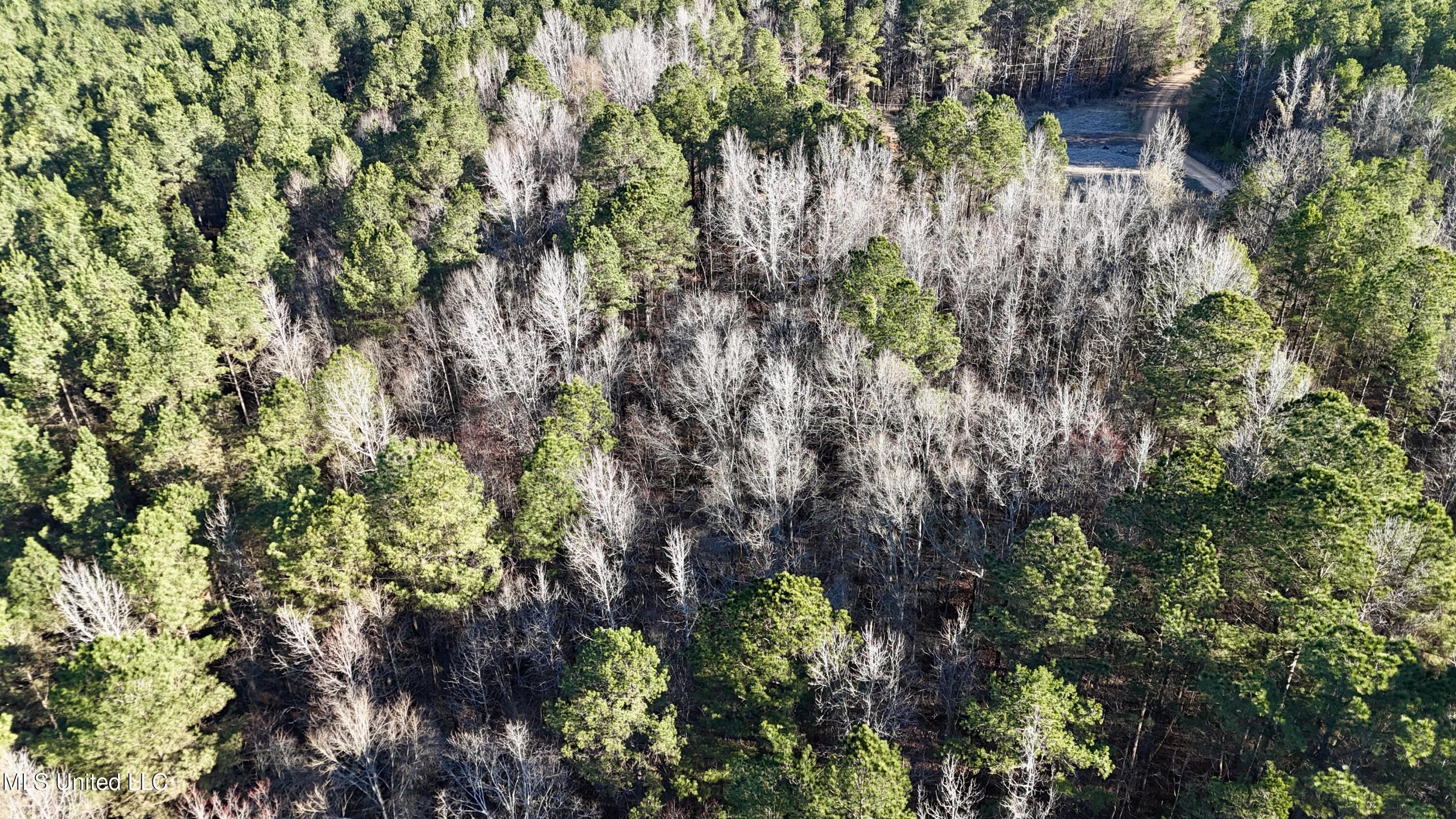 Ingram Road McCool, MS 39108 - Photo 12 of 14 dji_fly_20260218_115248_0165_17718646822