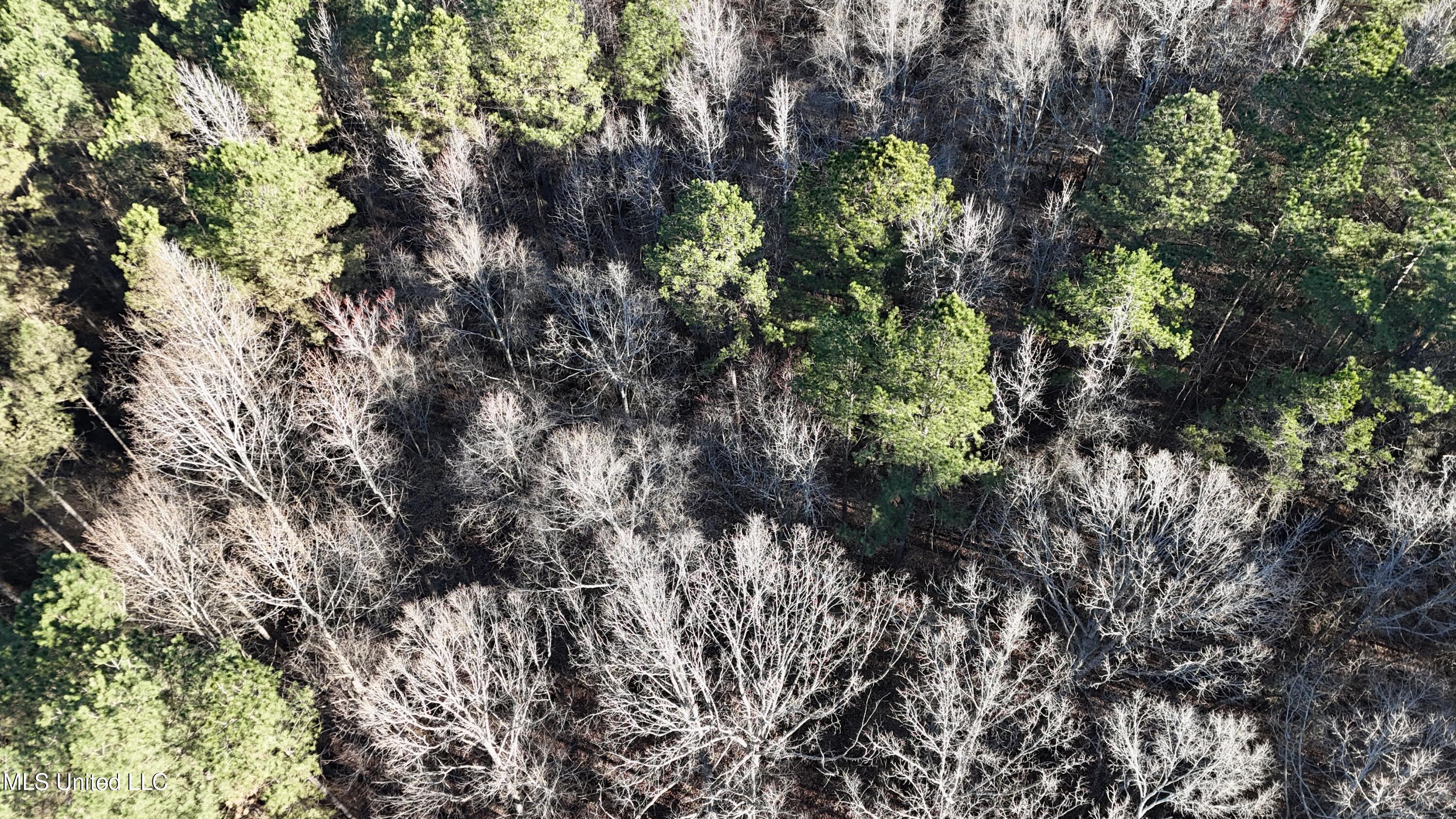 Ingram Road McCool, MS 39108 - Photo 13 of 14 dji_fly_20260218_115254_0166_17718646817