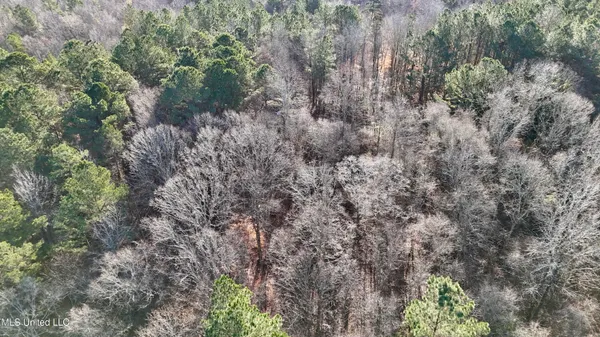 $20,000 | Ingram Road, McCool, MS 39108