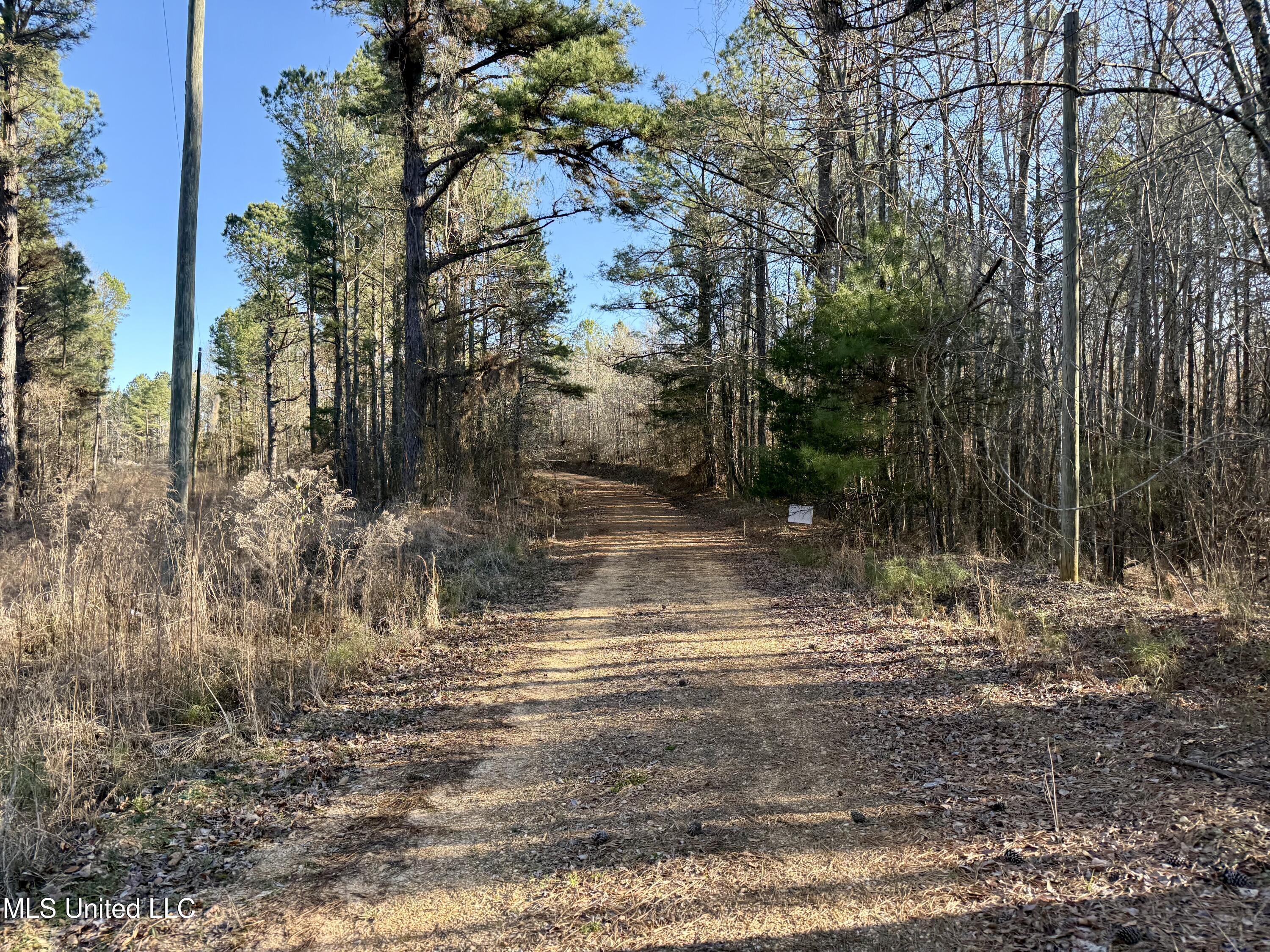 Ingram Road McCool, MS 39108 - Photo 2 of 14 IMG_2259