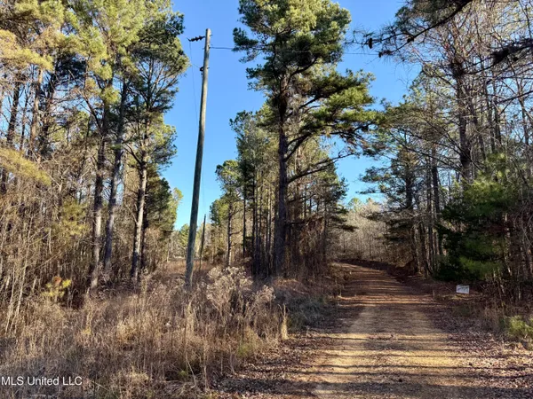 $20,000 | Ingram Road, McCool, MS 39108