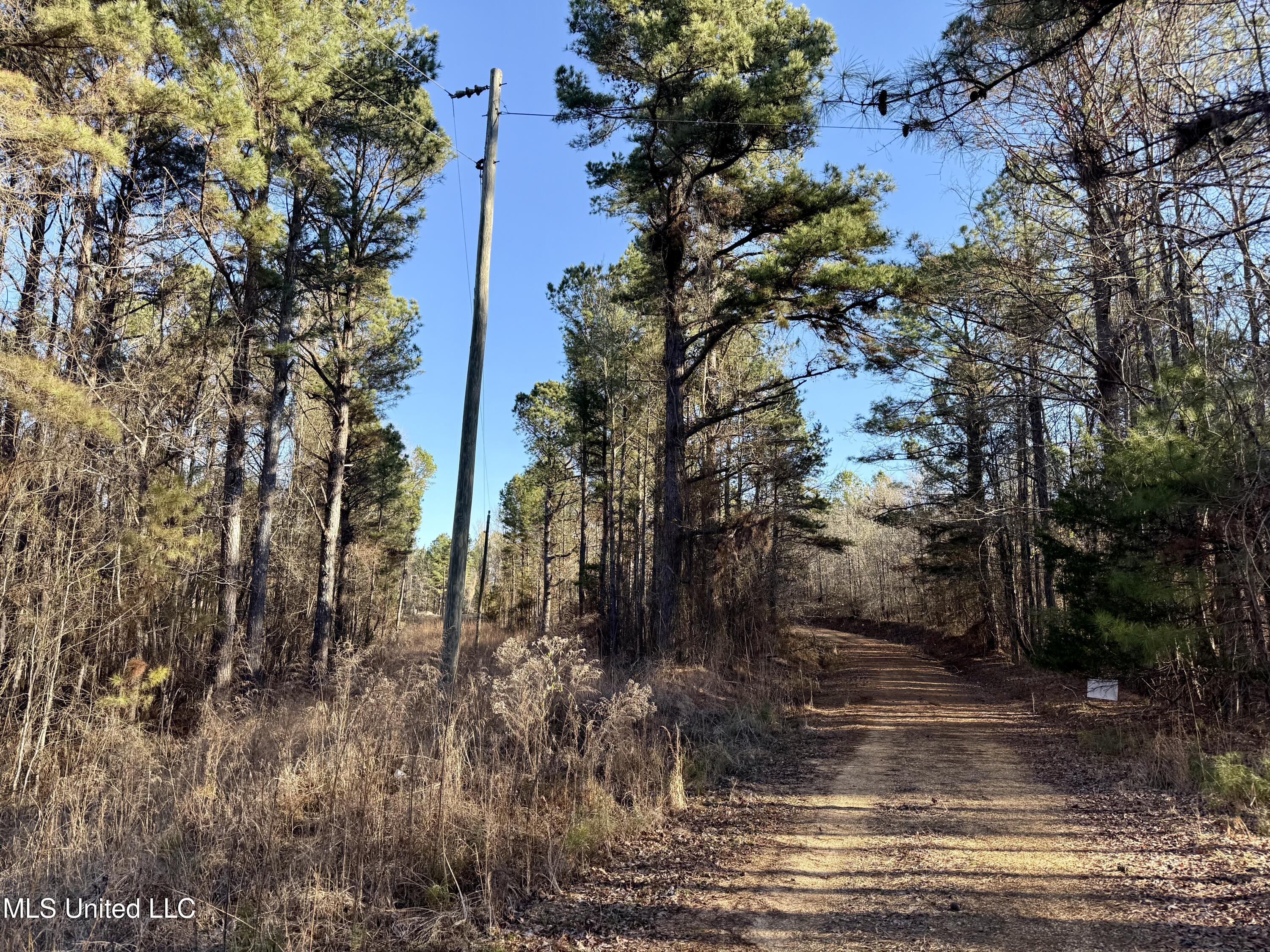 Ingram Road McCool, MS 39108 - Photo 3 of 14 IMG_2260