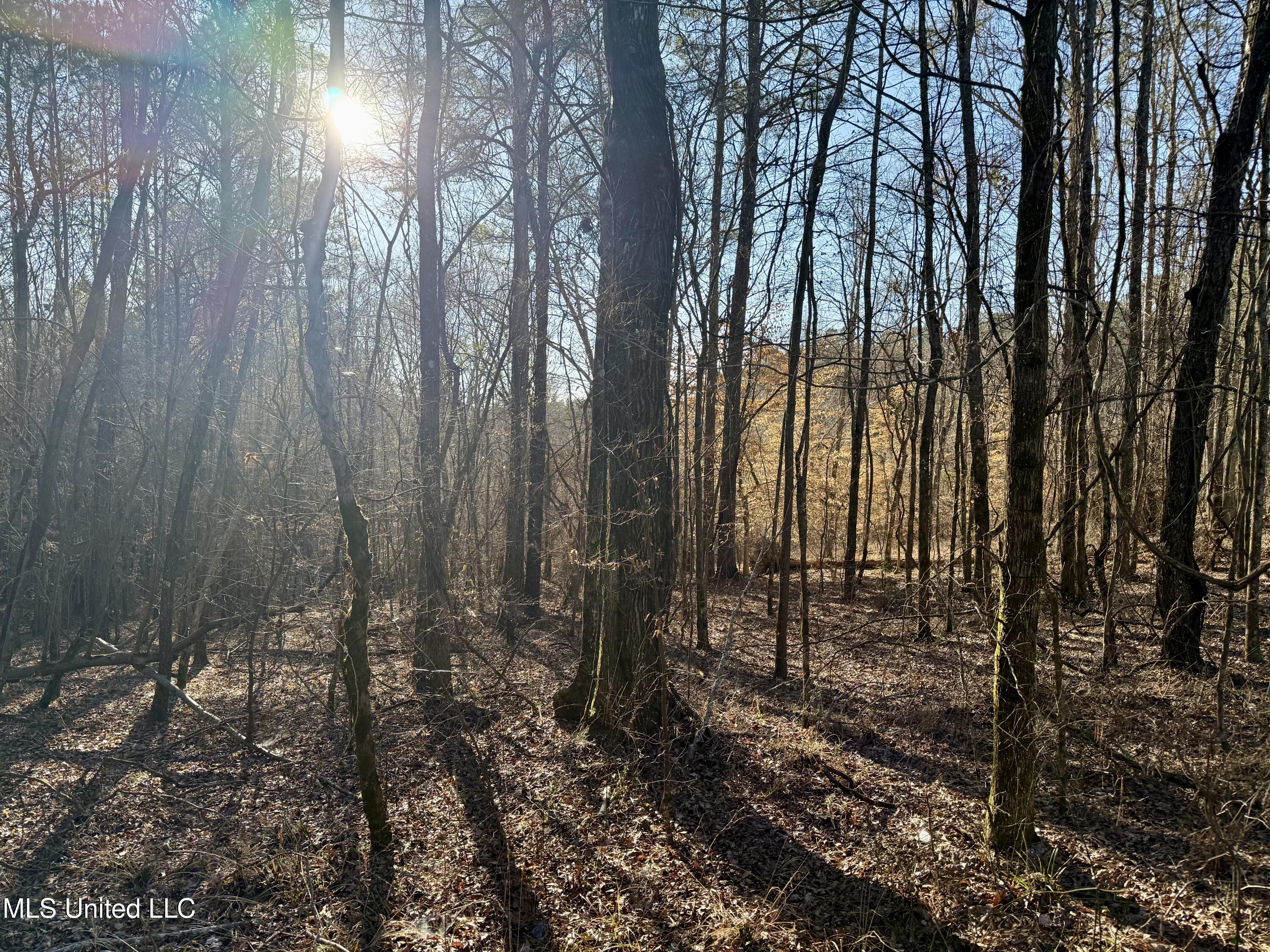 Ingram Road McCool, MS 39108 - Photo 4 of 14 IMG_2261