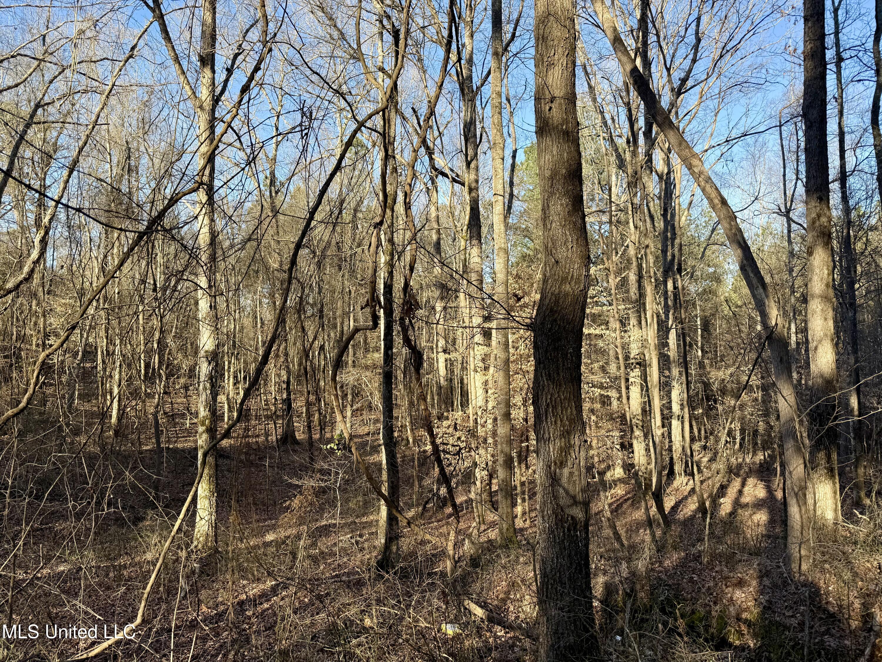 Ingram Road McCool, MS 39108 - Photo 7 of 14 IMG_2264