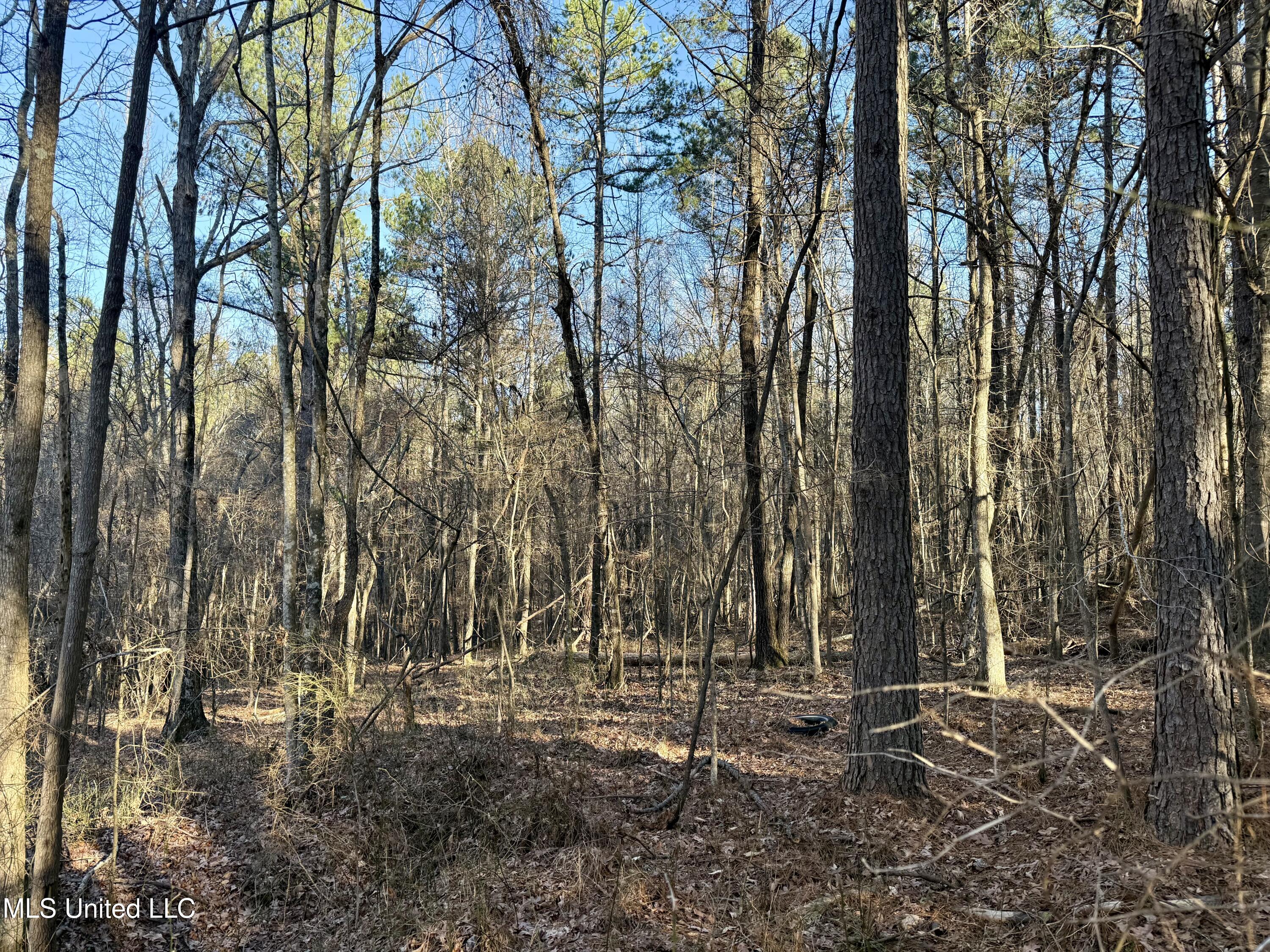 Ingram Road McCool, MS 39108 - Photo 8 of 14 IMG_2263