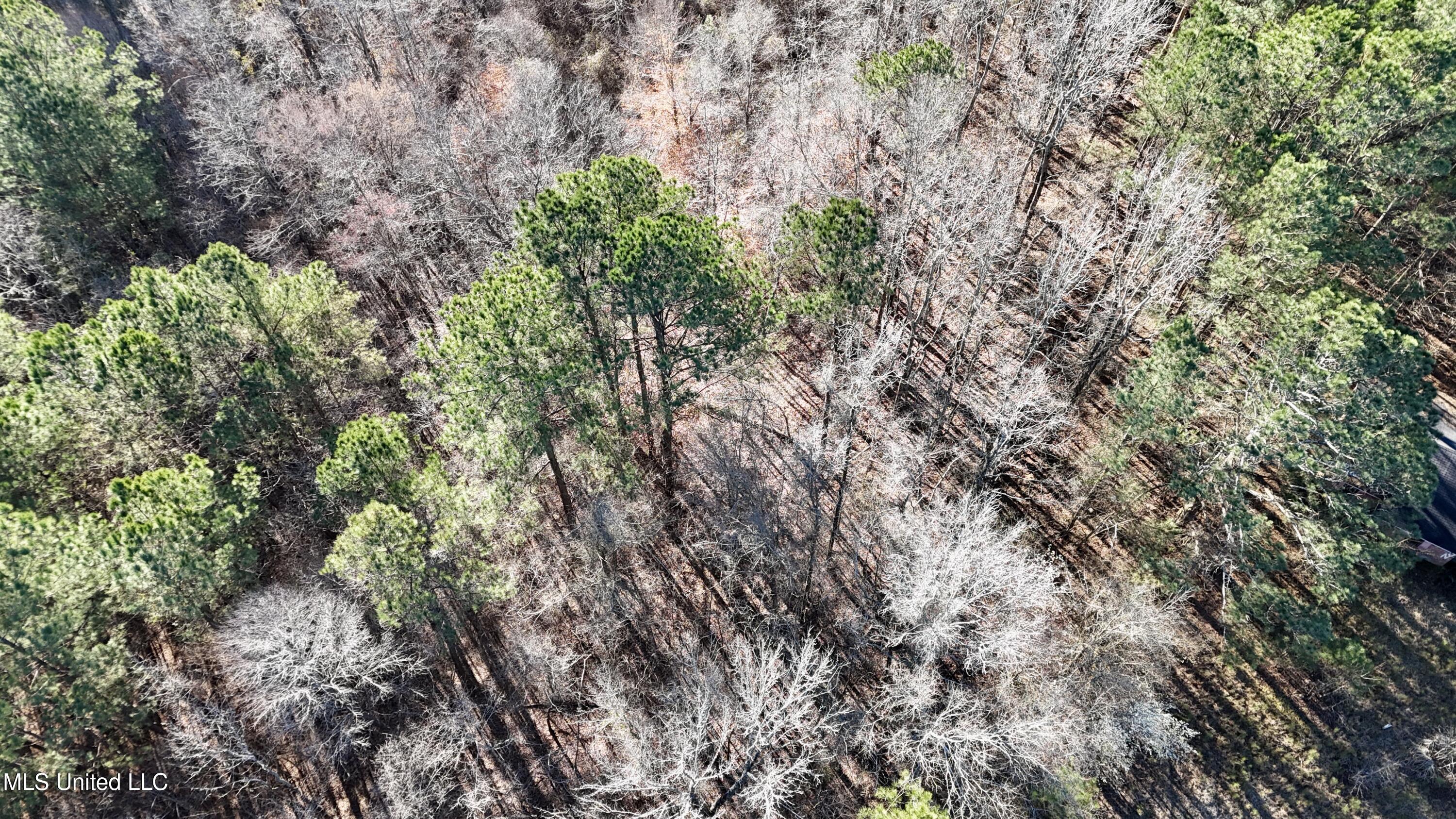 Ingram Road McCool, MS 39108 - Photo 9 of 14 dji_fly_20260218_115204_0162_17718646834