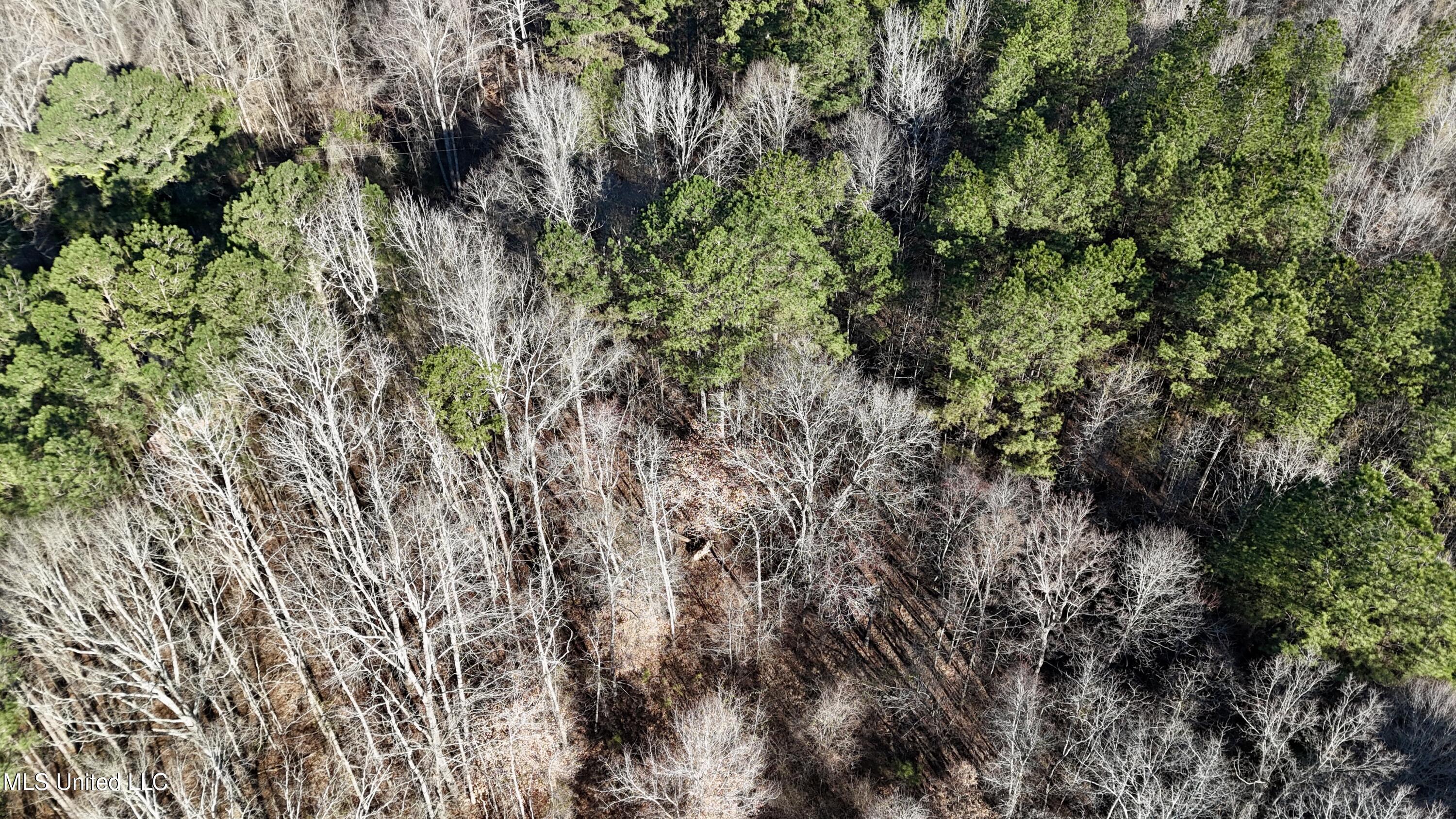 Ingram Road McCool, MS 39108 - Photo 10 of 14 dji_fly_20260218_115220_0163_17718646830