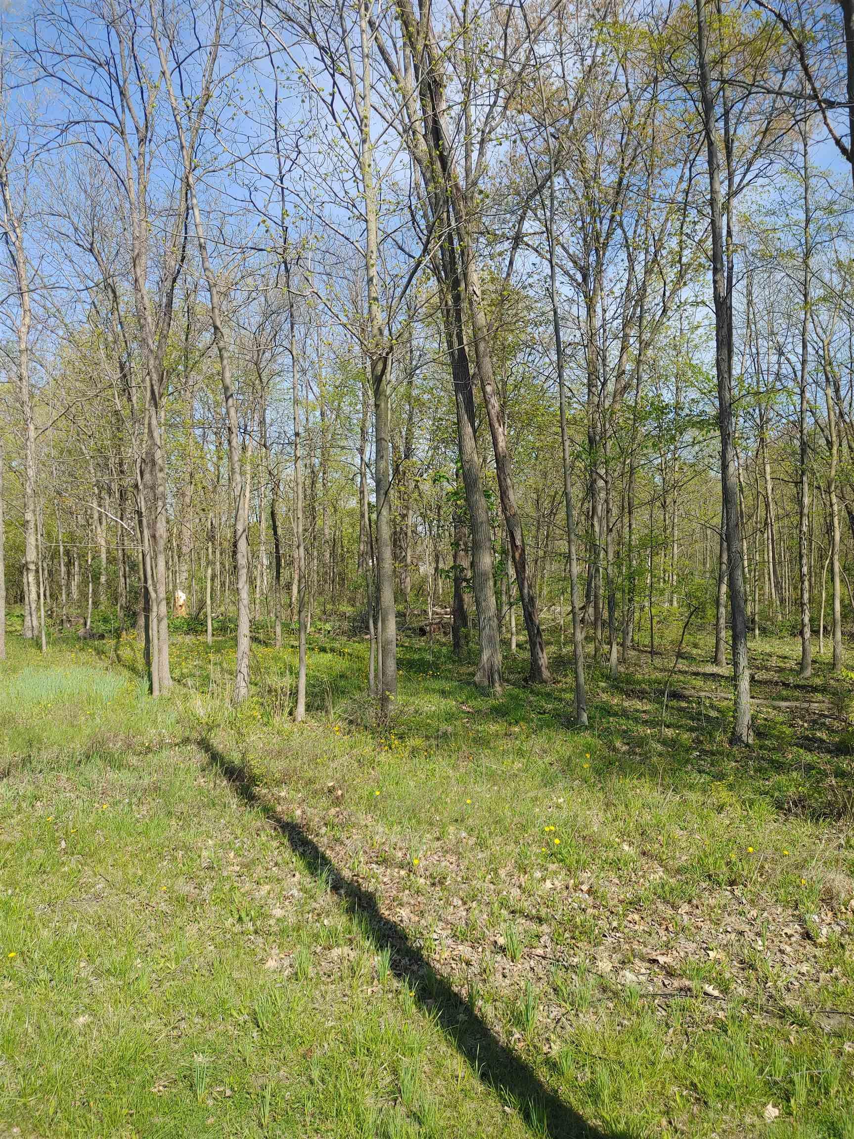 0 Popp Road Fort Wayne, IN 46845 - Photo 1 of 1