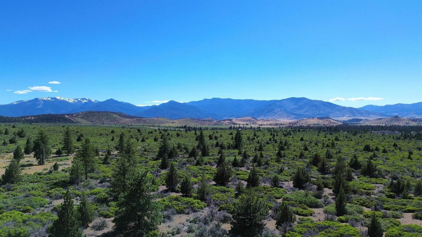 34 Quarry Road Weed, CA 96094 - Photo 10 of 11 Gallery Image 10