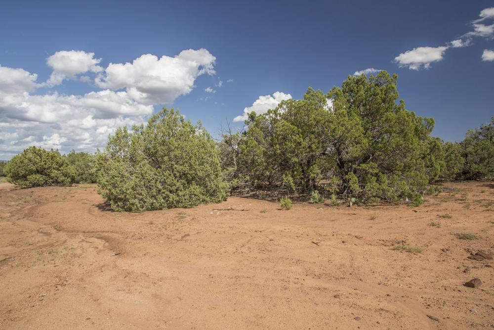 1200 West Airport Road Payson, AZ 85541 - Photo 29 of 50