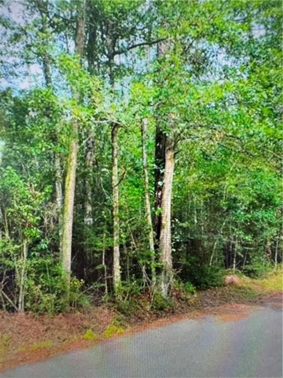 0 Pine Street Slidell, LA 70460 - Photo 7 of 8