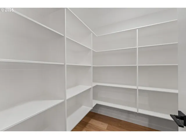 a view of an empty walk in closet