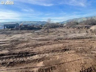 a view of a dry yard