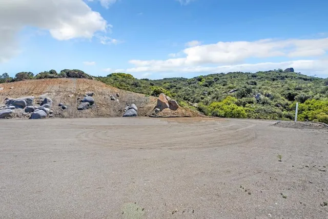 a view of a lush green hillside and a houses