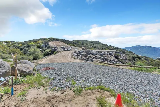 a view of a tree with a yard