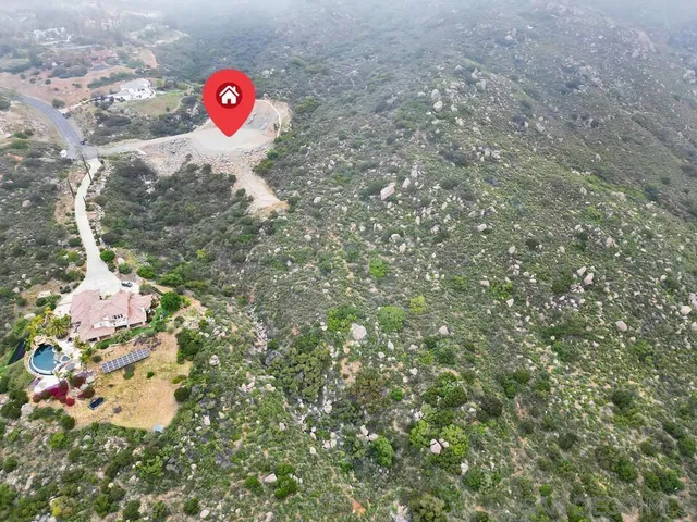 a close up of a tree