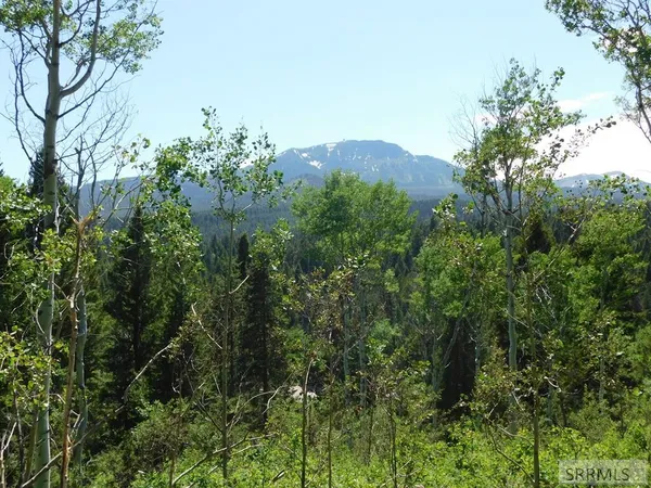 $595,000 | 4907 Shadow Wood Island Park, Island Park, ID 83429