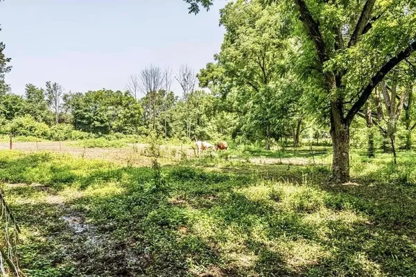 a view of a yard with plants and a bench