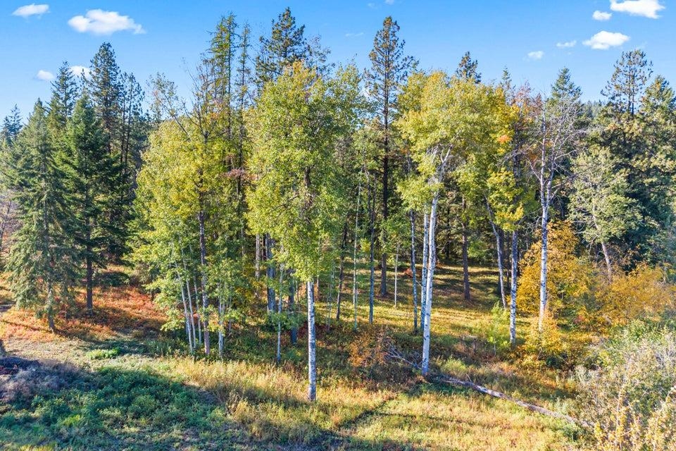 917 B Philpott Road Colville, WA 99114 - Photo 39 of 50