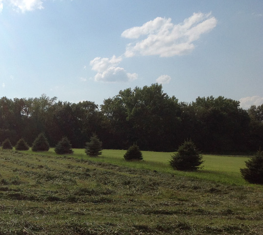 2137 East 879th Road Tonica, IL 61370 - Photo 1 of 4