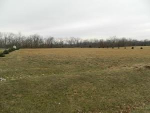 2137 East 879th Road Tonica, IL 61370 - Photo 4 of 4
