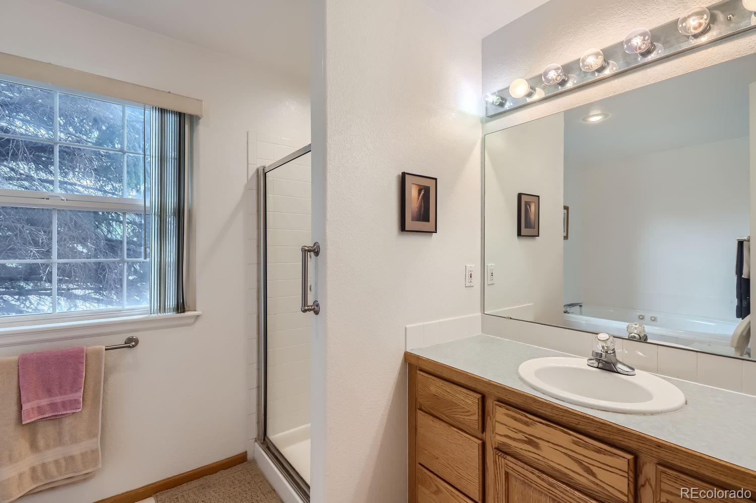 153 Falcon Circle Mead, CO 80542 - Photo 16 of 28