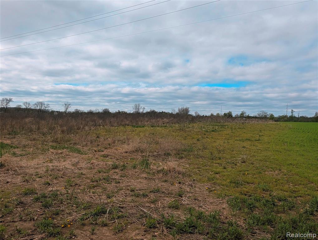 Parcel E Hogan Road Linden, MI 48451 - Photo 19 of 22