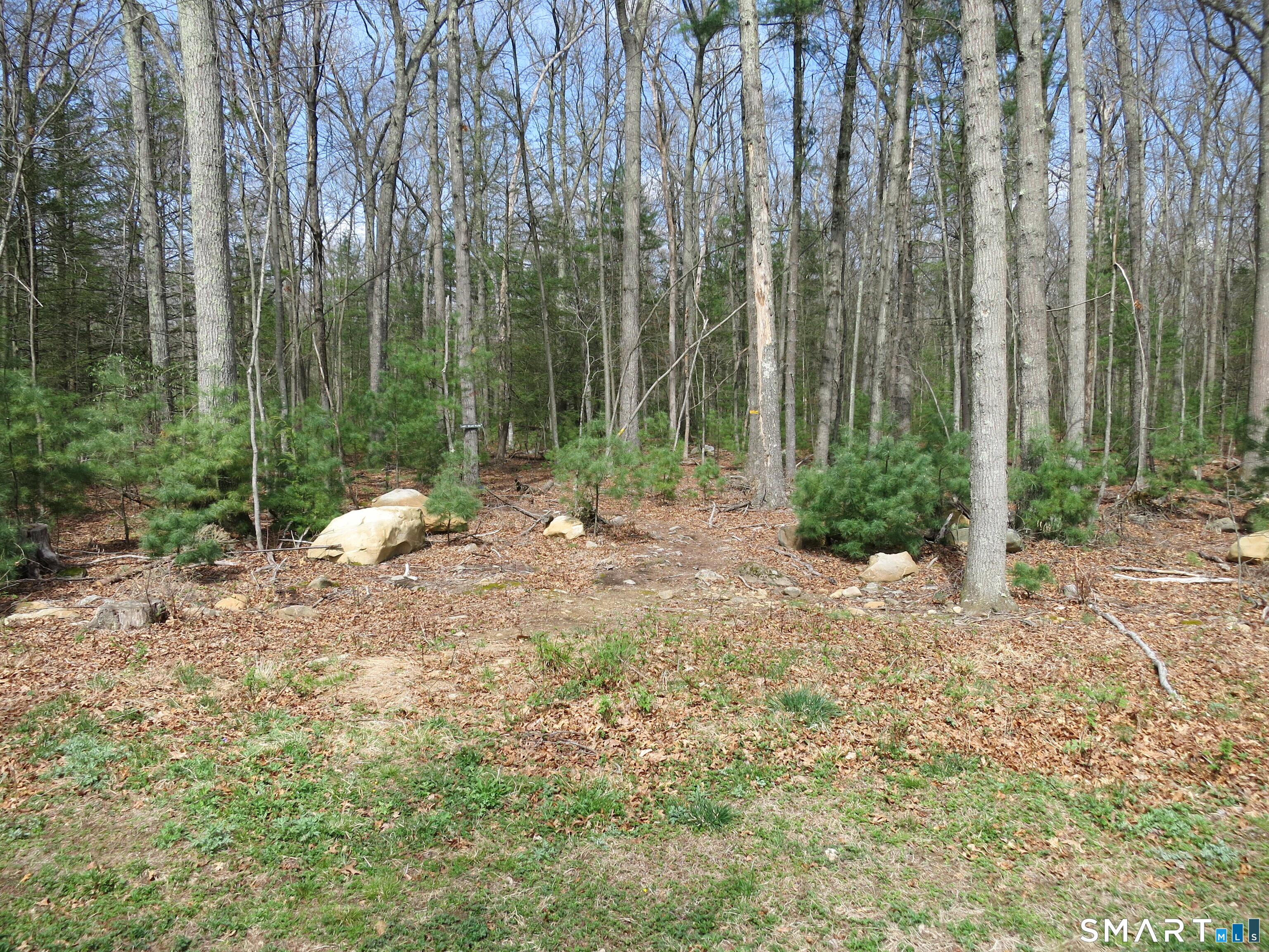 6 Lostbrook Road Simsbury, CT 06092 - Photo 13 of 14